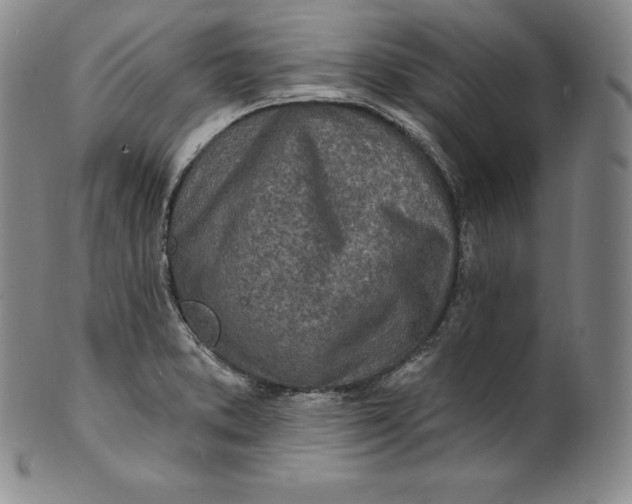 X0000100501373200806271249