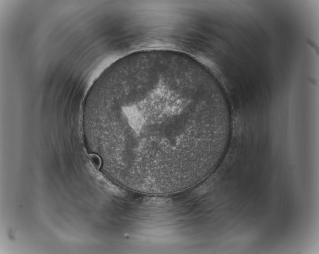 X0000100501374200806271249