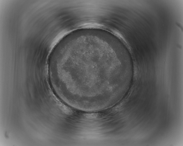 X0000100501376200806271249