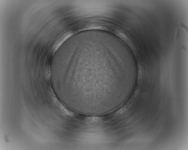 X0000100501377200806271249