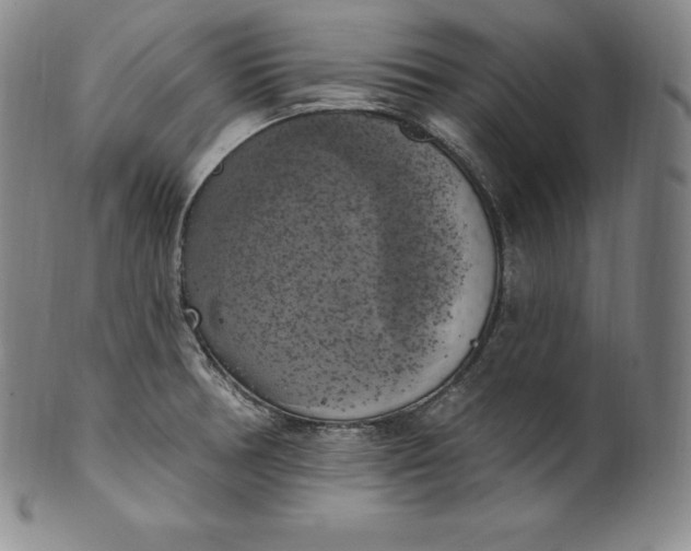 X0000100501378200806271249