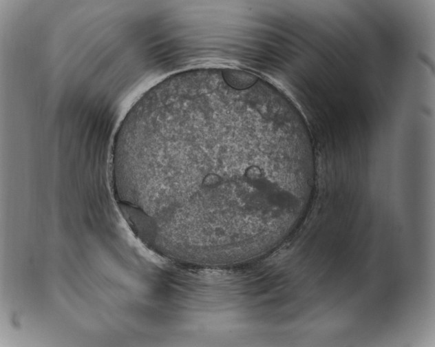 X0000100501379200806271249