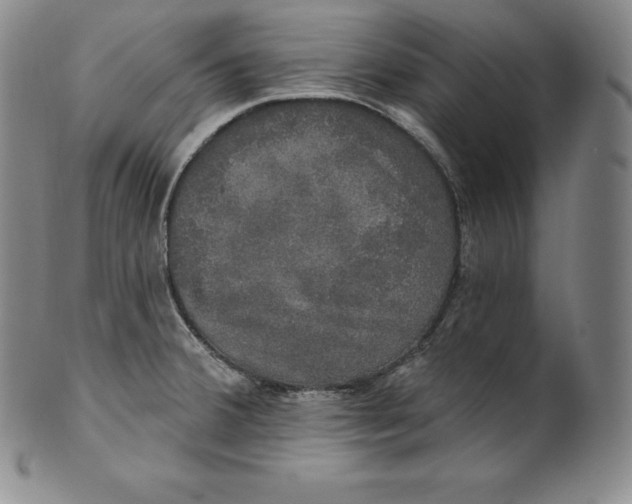 X0000100501380200806271249