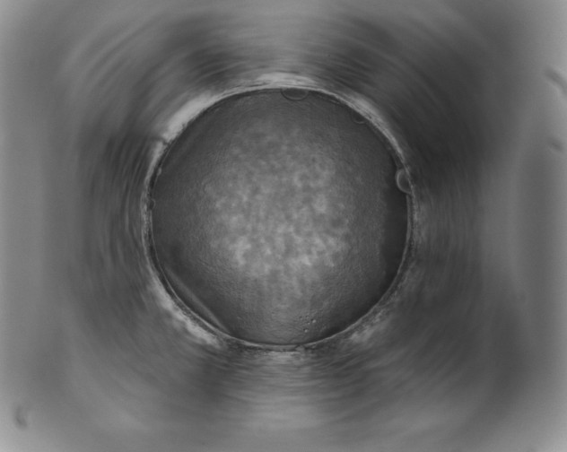 X0000100501381200806271249