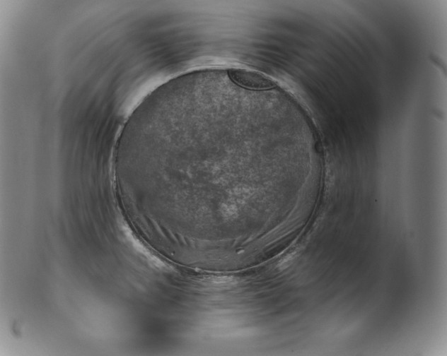 X0000100501382200806271249