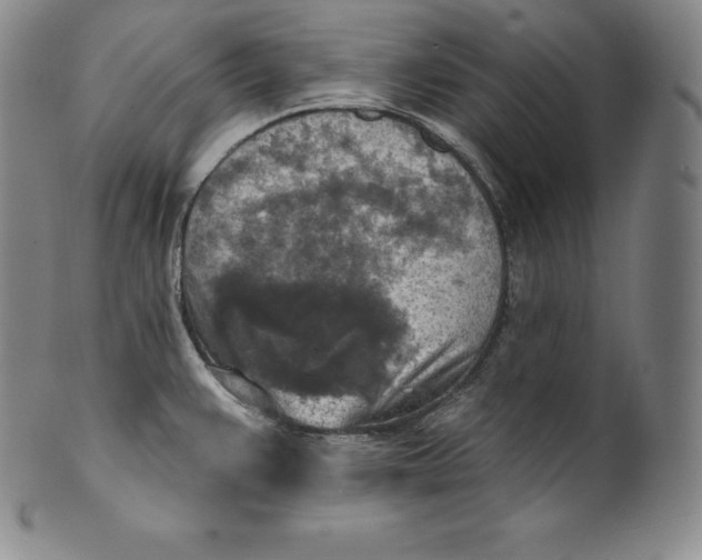 X0000100501383200806271249