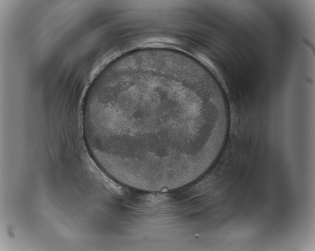 X0000100501384200806271249