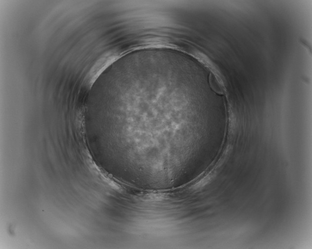 X0000100501385200806271249