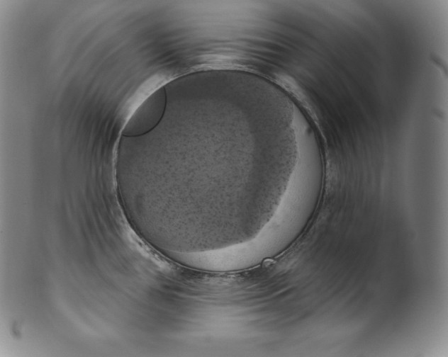 X0000100501386200806271249