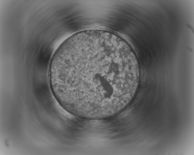 X0000100501387200806271249