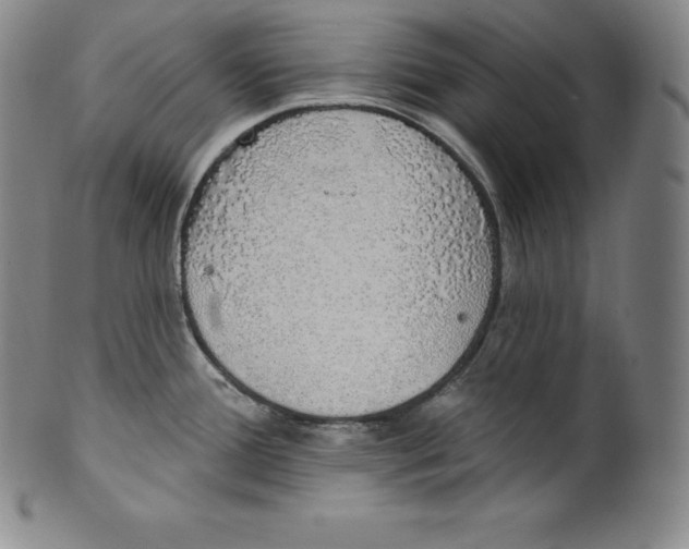 X0000100501388200806271249