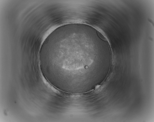 X0000100501389200806271249