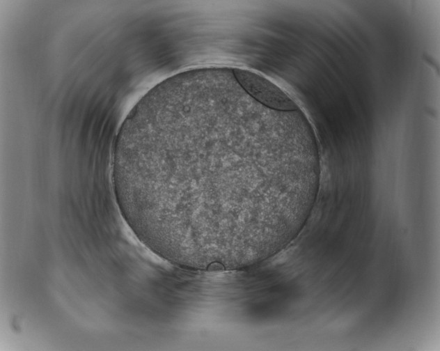 X0000100501390200806271249