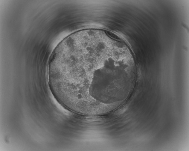 X0000100501391200806271249