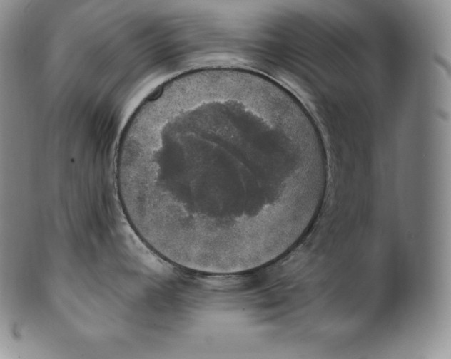 X0000100501392200806271249