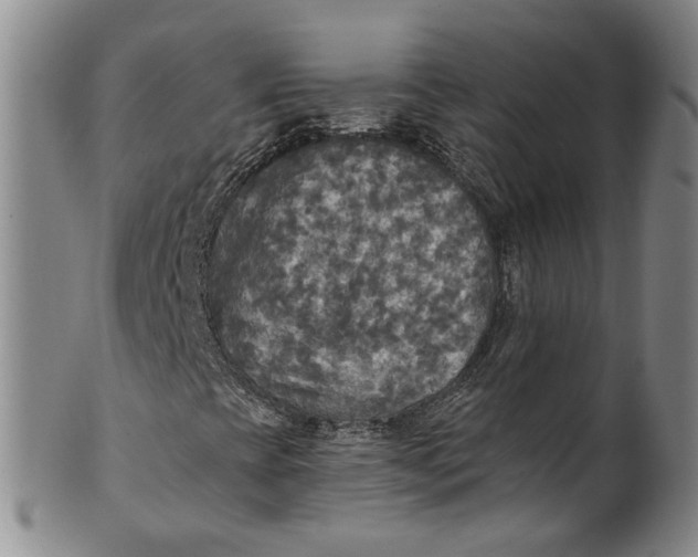 X0000100501393200806271249