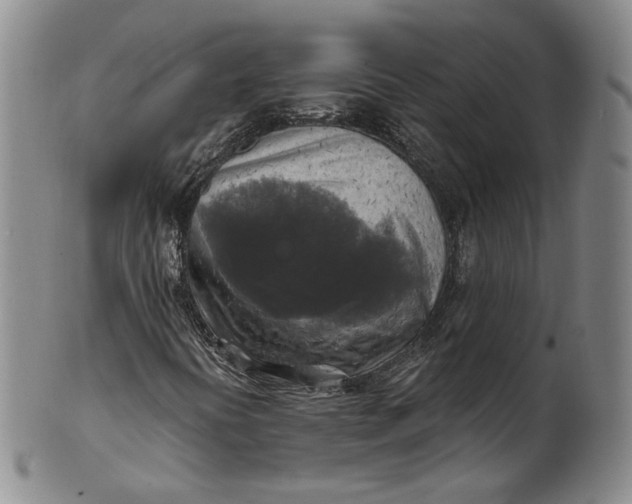 X0000100501394200806271249