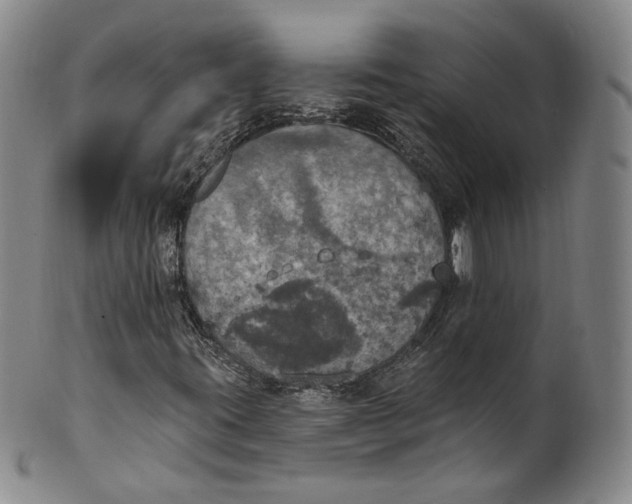 X0000100501395200806271249