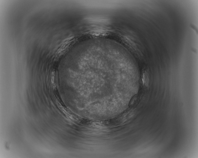 X0000100501396200806271249