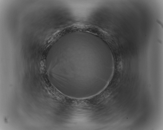 X0000100501397200806271249