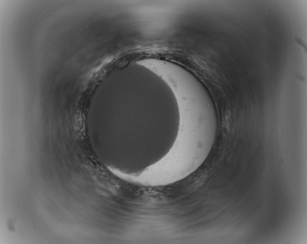 X0000100501398200806271249