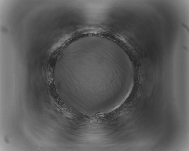 X0000100501399200806271249