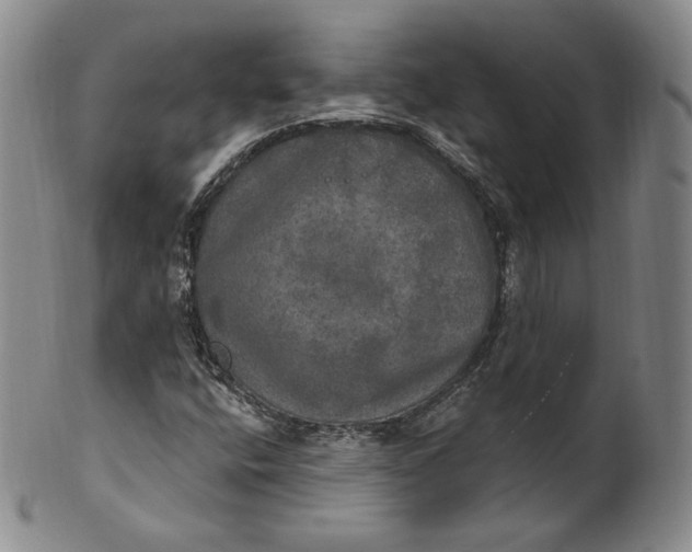 X0000100501400200806271249