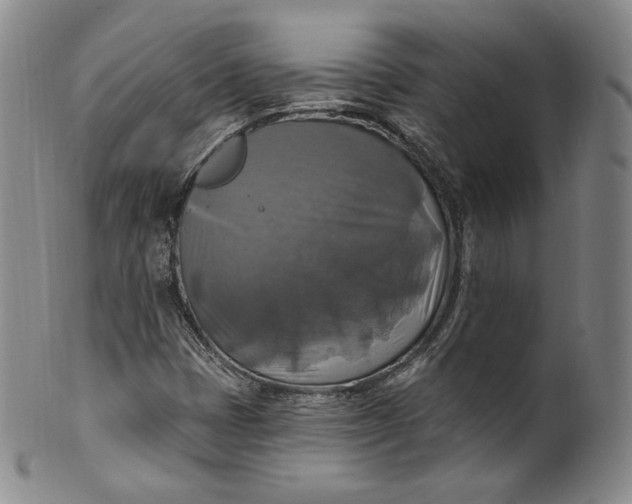 X0000100501401200806271249