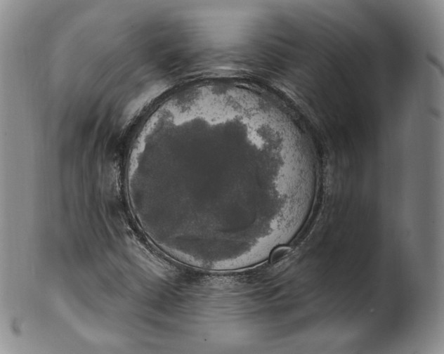 X0000100501402200806271249