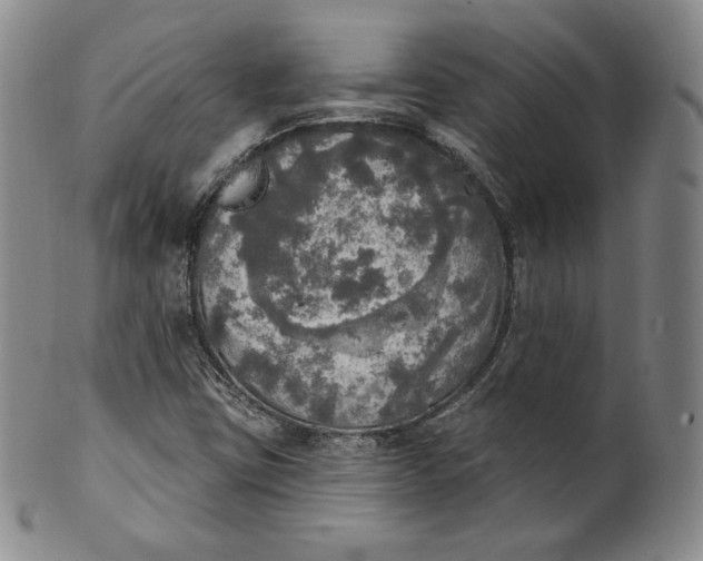 X0000100501403200806271249