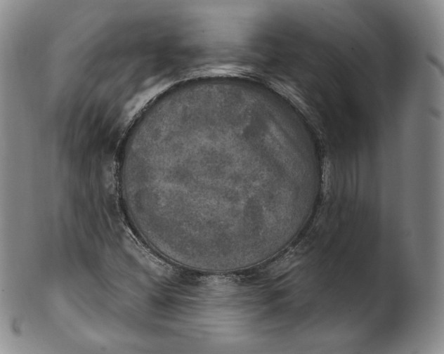 X0000100501404200806271249