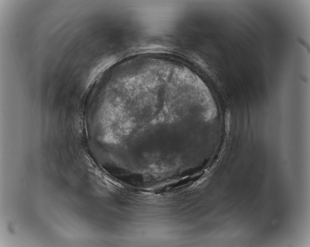 X0000100501405200806271249