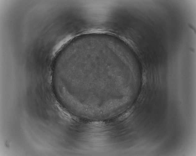 X0000100501406200806271249