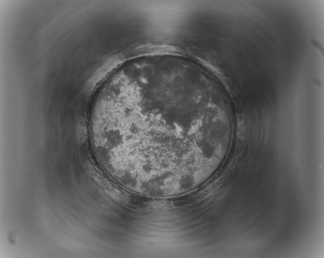 X0000100501407200806271249