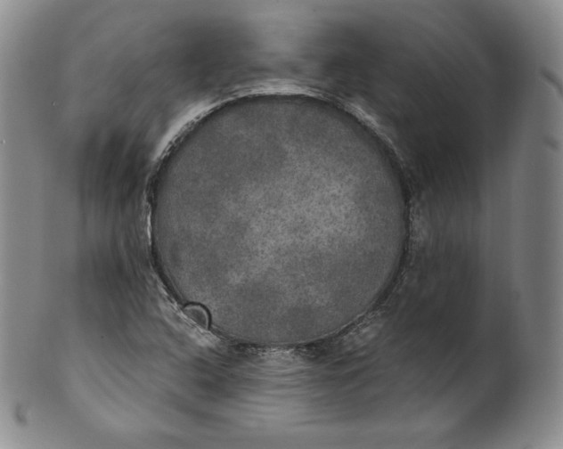 X0000100501408200806271249