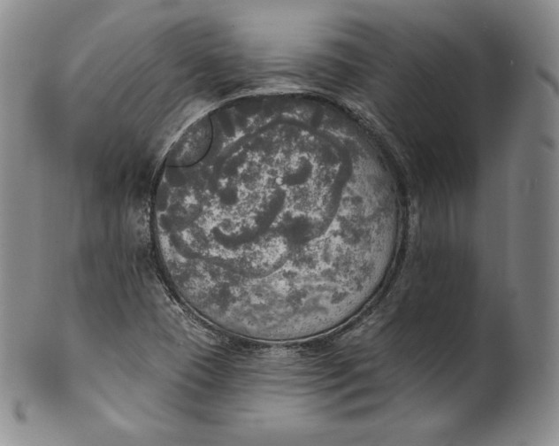 X0000100501409200806271249