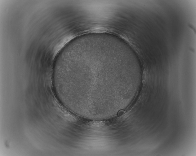 X0000100501410200806271249