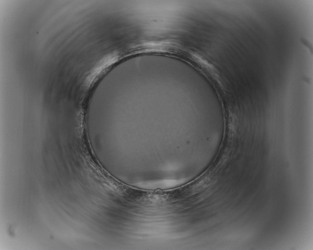 X0000100501411200806271249