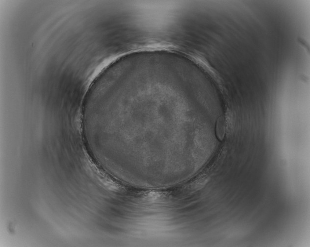 X0000100501412200806271249