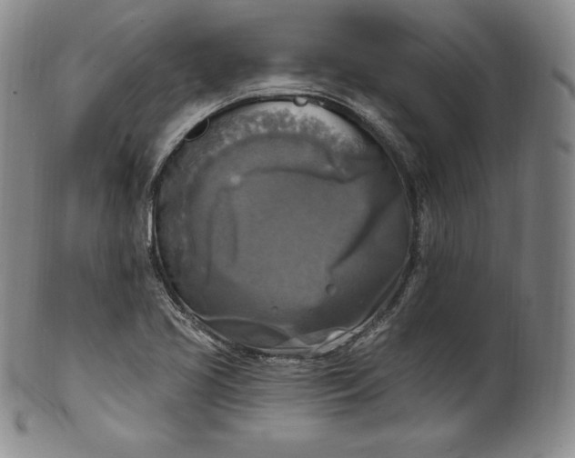 X0000100501413200806271249