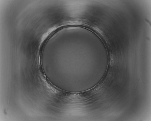 X0000100501414200806271249