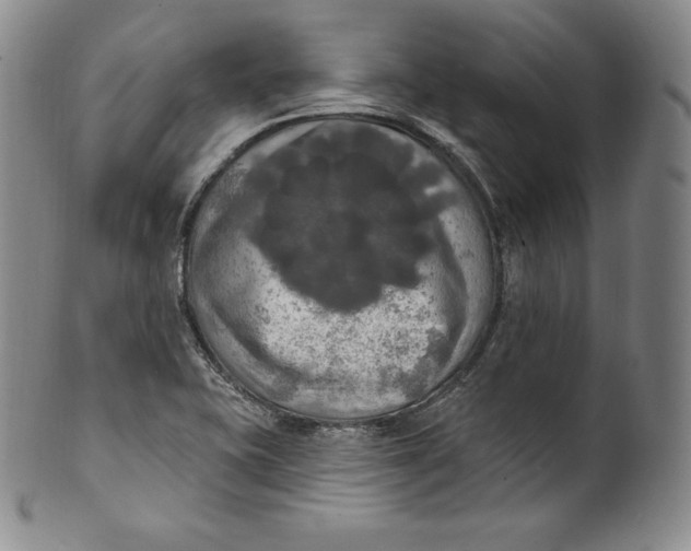 X0000100501415200806271249