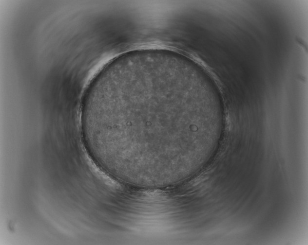 X0000100501416200806271249