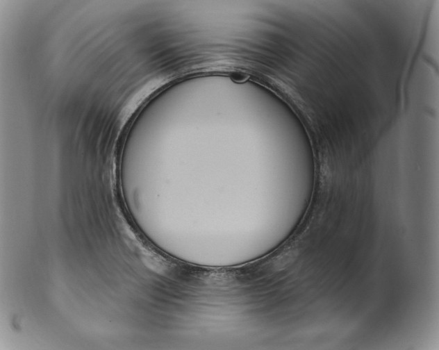 X0000100501418200806271249