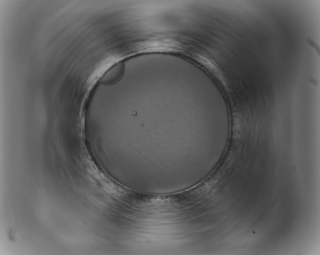 X0000100501419200806271249