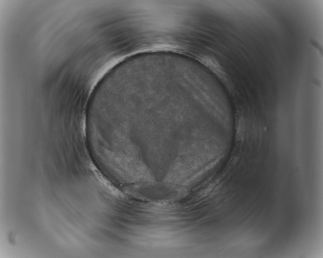 X0000100501420200806271249