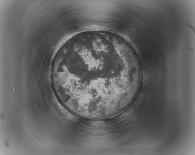 X0000100501421200806271249