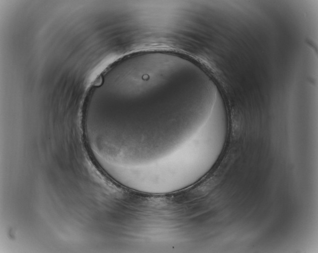 X0000100501422200806271249