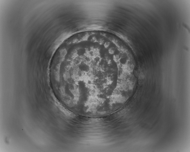 X0000100501423200806271249