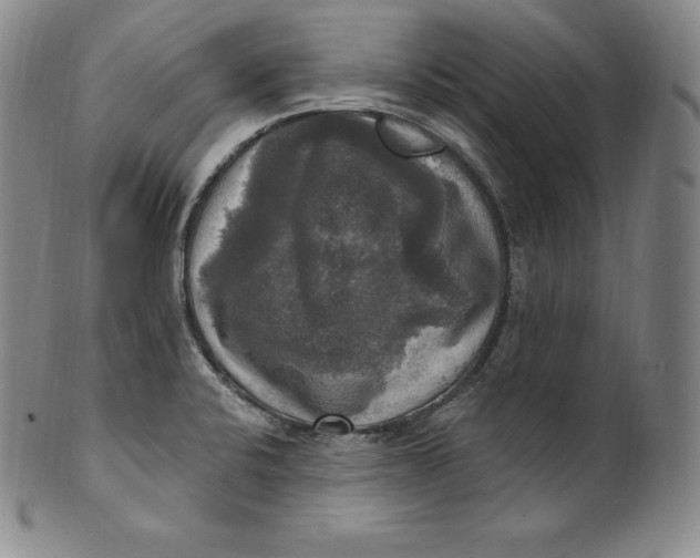 X0000100501424200806271249